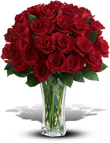 24 Long Stemmed Red Roses