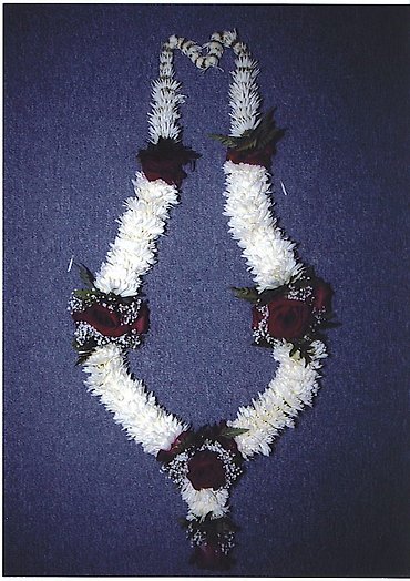 Maroon and white